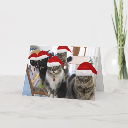 集団プレゼントクリスマスカード シーズンカード (正面)