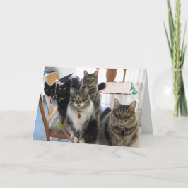 集団誕生日グリーティングカード カード