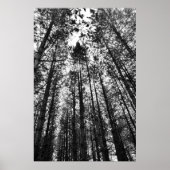 集結する心 ポスター (正面)