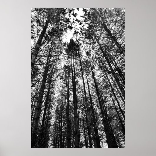 集結する心 ポスター (正面)