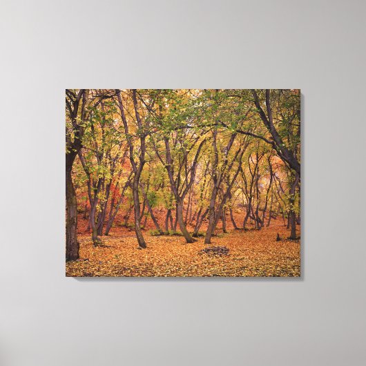 集落キャニオン キャンバスプリント (正面)