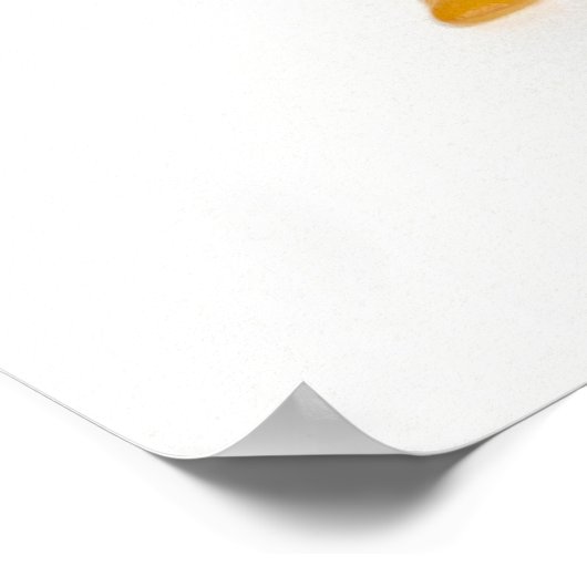 雌のカエル ポスター (角)