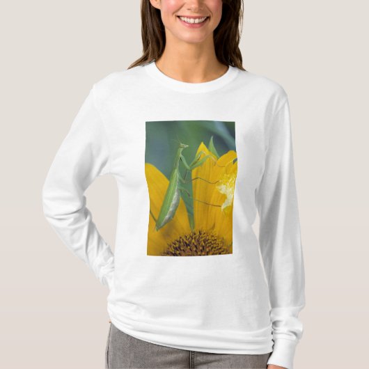 雌のカマキリ Tシャツ (正面)