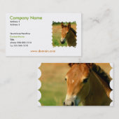 雌の子馬の名刺 名刺 (正面/裏面)