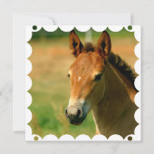 雌の子馬の馬の招待状 招待状 (正面)