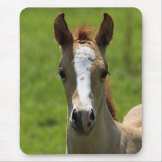 雌の子馬 マウスパッド