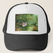 雌べら産み卵 キャップ (正面)