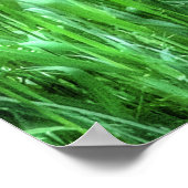 雌エレガント鹿の野生動物の写真 ポスター (角)