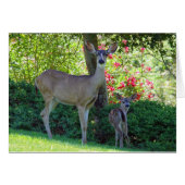 雌ジカおよび子鹿 (正面横)