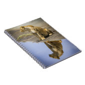 雌ジシのノートの反射 ノートブック (右側)