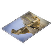 雌ジシのノートの反射 ノートブック (左側)