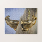 雌ジシのパズルの反射 ジグソーパズル (横)