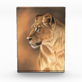 雌ジシの写真のブロック フォトブロック