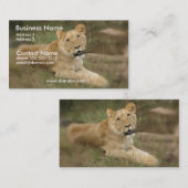 雌ジシの名刺 名刺 (正面/裏面)