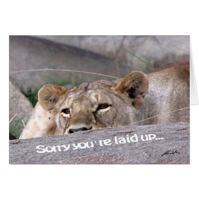 雌ジシの「置かれたup (正面横)