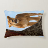 雌ジシ アクセントクッション (正面)