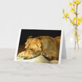 雌ジシ カード (黄色い花)