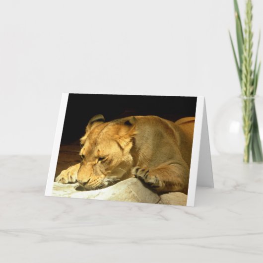 雌ジシ カード (正面)