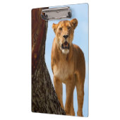 雌ジシ クリップボード (左)