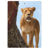 雌ジシ クリップボード (裏面)