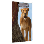 雌ジシ クリップボード (右)