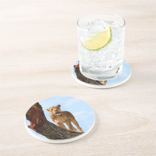 雌ジシ コースター (側面)