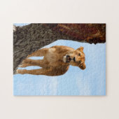 雌ジシ ジグソーパズル (横)