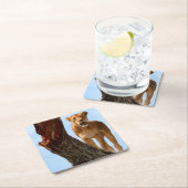 雌ジシ スクエアペーパーコースター (インサイチュ)