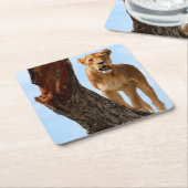 雌ジシ スクエアペーパーコースター (アングル)