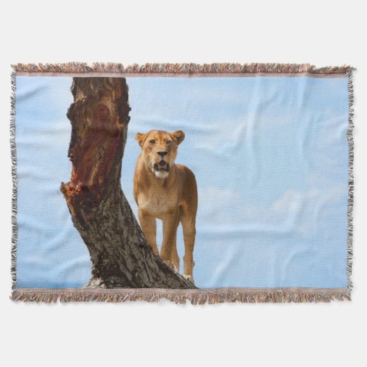 雌ジシ スローブランケット (正面)
