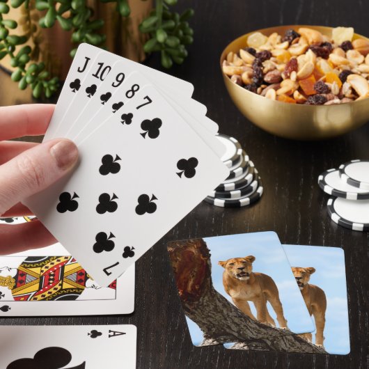 雌ジシ トランプ (インサイチュ)