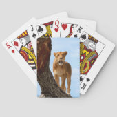 雌ジシ トランプ (裏面)