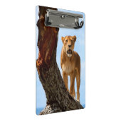 雌ジシ ミニクリップボード (アングル)