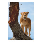 雌ジシ ミニクリップボード (裏面)