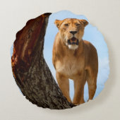 雌ジシ ラウンドクッション (裏面)