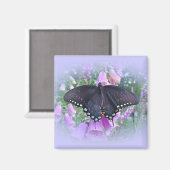 雌スズキアゲハチョウ蝶 マグネット (正面/裏面)