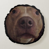 雌ブリンドルピット用牛枕 ラウンドクッション (正面)