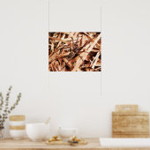 雌ホボグモ ポスター (キッチン)