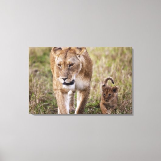 雌ライオンと子連れ キャンバスプリント (正面)