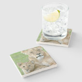 雌ライオンと雌雄の雌雄、東アフリカ、タンザニア ストーンコースター (横)