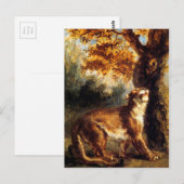 雌ライオンのストーカー ポストカード (正面/裏面)