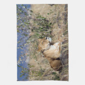 雌ライオンは休む キッチンタオル (縦)