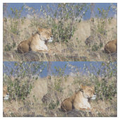 雌ライオンは休む ファブリック (クローズアップ)