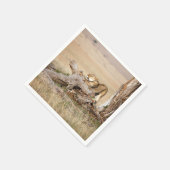 雌ライオン伸張 スタンダードカクテルナプキン (角)