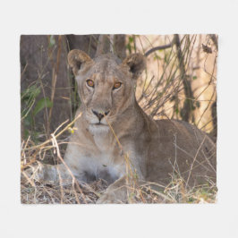 雌ライオン毛布 フリースブランケット