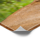 雌ライオン2 ポスター (角)