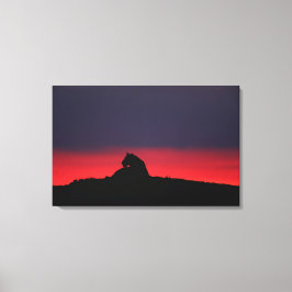 雌ライオン（パンテラレオ）は夕暮れ時に座ってマサイ キャンバスプリント