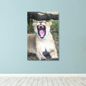 雌ライオン（パンテラレオ）、マサイマナショナル2 キャンバスプリント (インサイチュ (ウッドフロア))