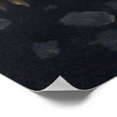 雌ライオン ポスター (角)