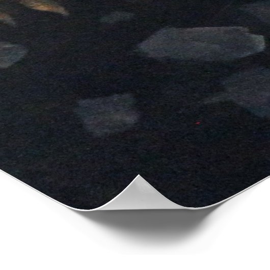 雌ライオン ポスター (角)